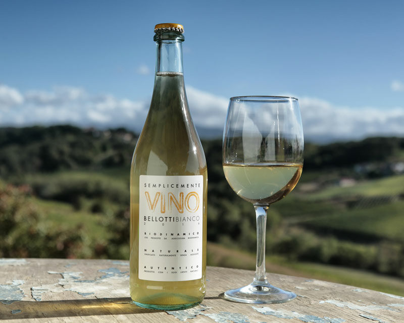Vini d’Italia